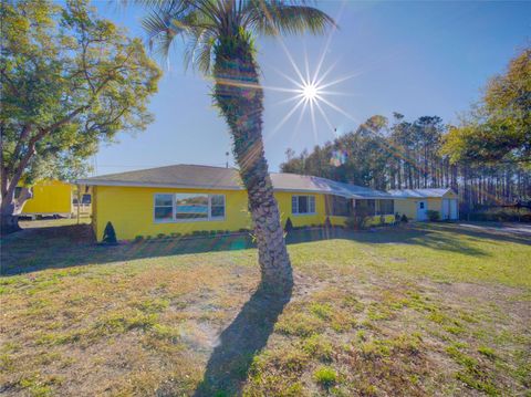 Tiny photo for 7008 Hunt Road, Groveland, FL 34736 (MLS # S5141545)