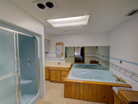 Tiny photo for 7008 Hunt Road, Groveland, FL 34736 (MLS # S5141545)