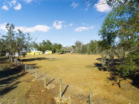 Tiny photo for 7008 Hunt Road, Groveland, FL 34736 (MLS # S5141545)