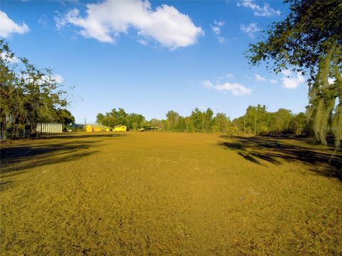 Tiny photo for 7008 Hunt Road, Groveland, FL 34736 (MLS # S5141545)