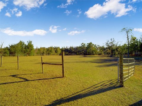 Tiny photo for 7008 Hunt Road, Groveland, FL 34736 (MLS # S5141545)