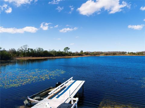 Tiny photo for 7008 Hunt Road, Groveland, FL 34736 (MLS # S5141545)