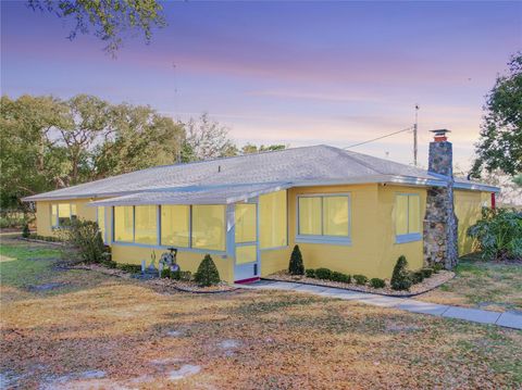 Tiny photo for 7008 Hunt Road, Groveland, FL 34736 (MLS # S5141545)
