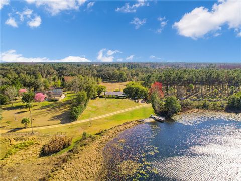 Tiny photo for 7008 Hunt Road, Groveland, FL 34736 (MLS # S5141545)