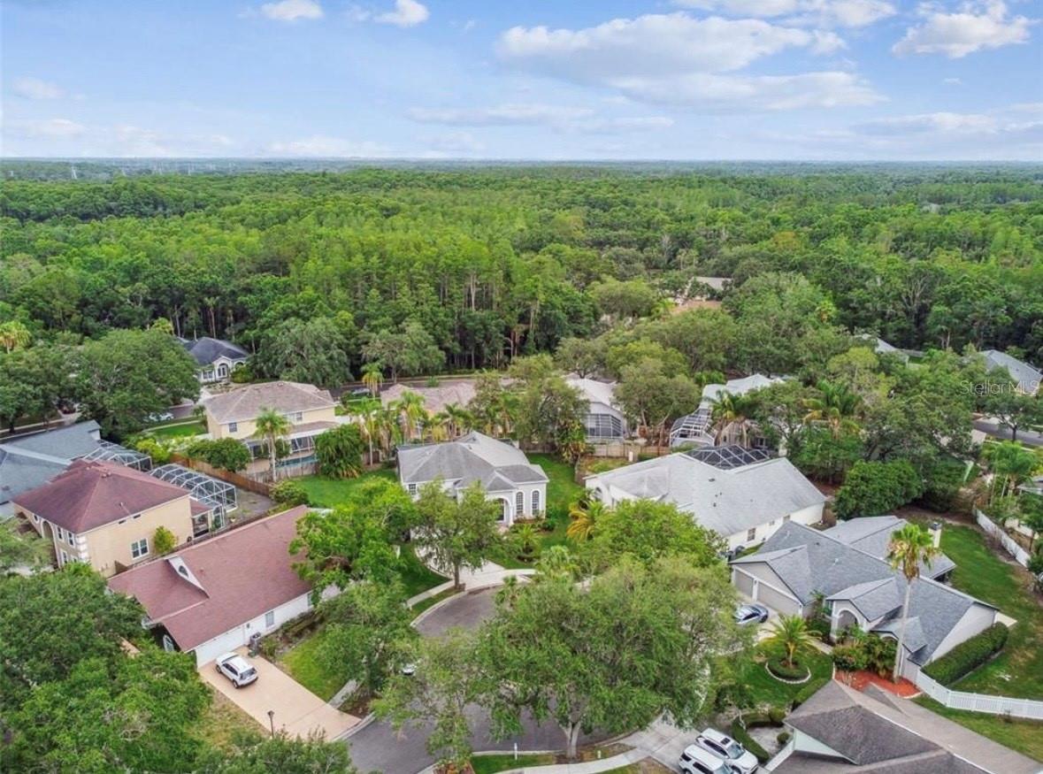 TAMPA PALMS AREA 2 5C UNIT 2A - Residential Lease