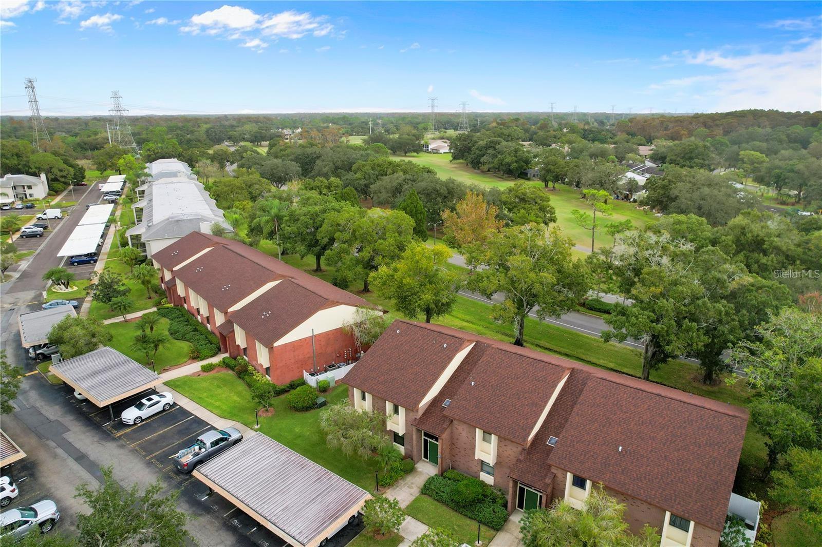 EAST LAKE WOODLANDS CONDO - Residential
