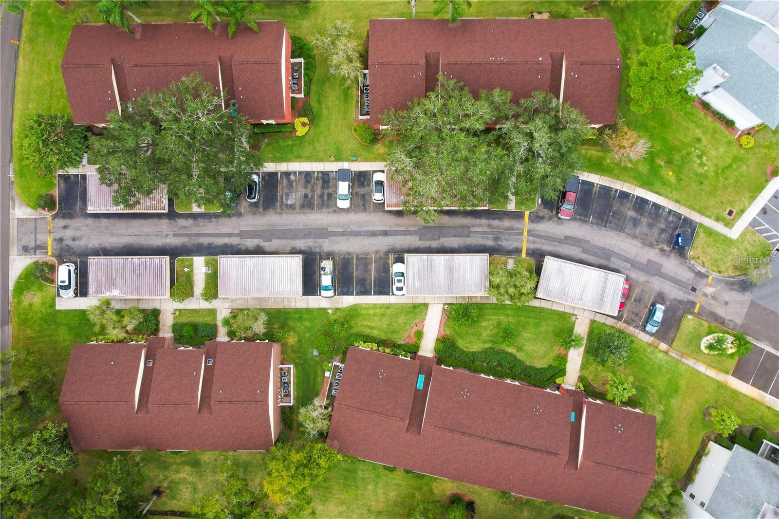 EAST LAKE WOODLANDS CONDO - Residential