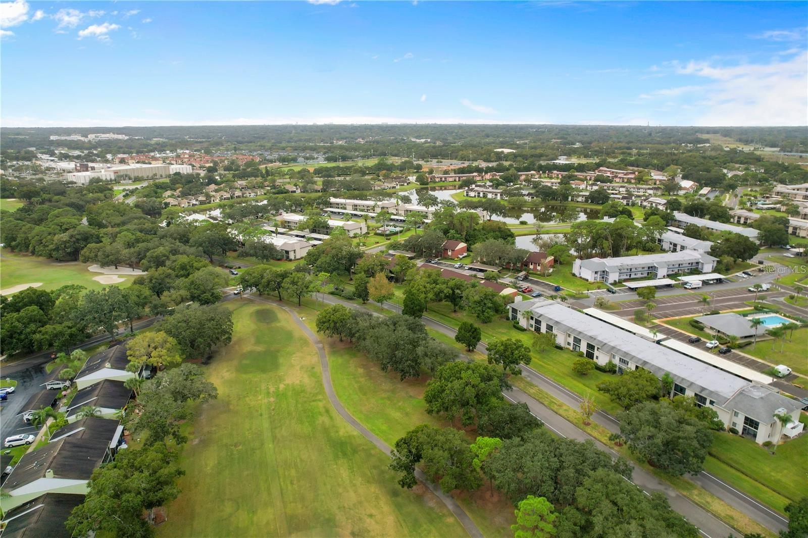 EAST LAKE WOODLANDS CONDO - Residential