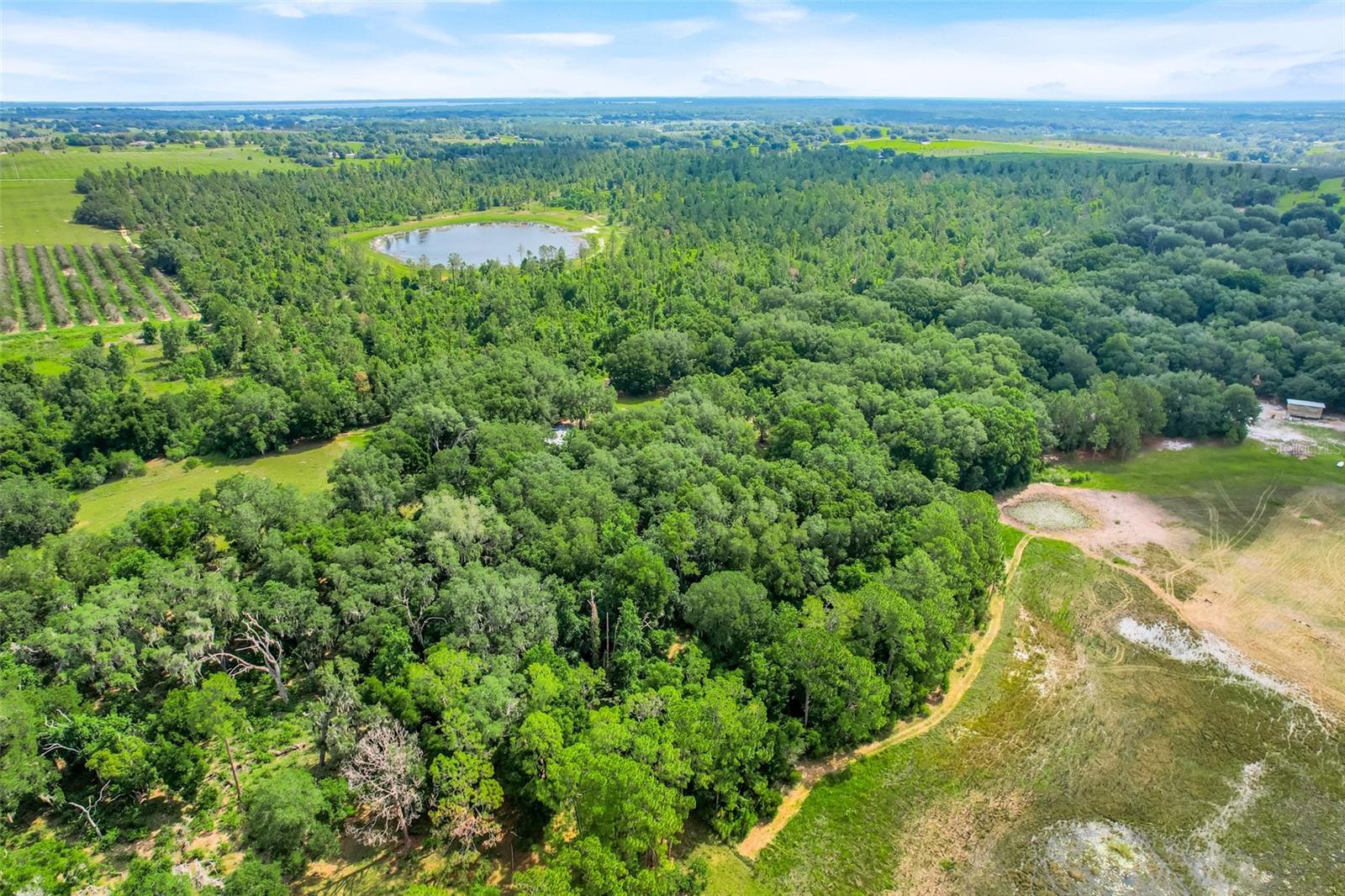 23449 THOMAS ALLEN ROAD
