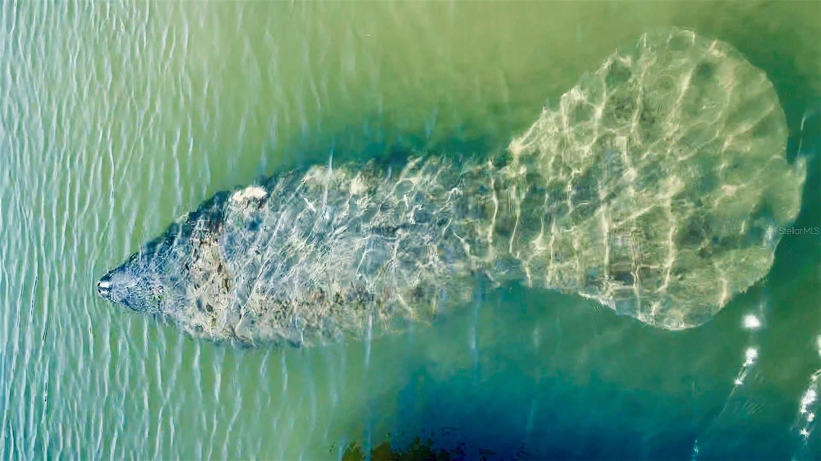 POINTE ON MIDNIGHT PASS - Residential