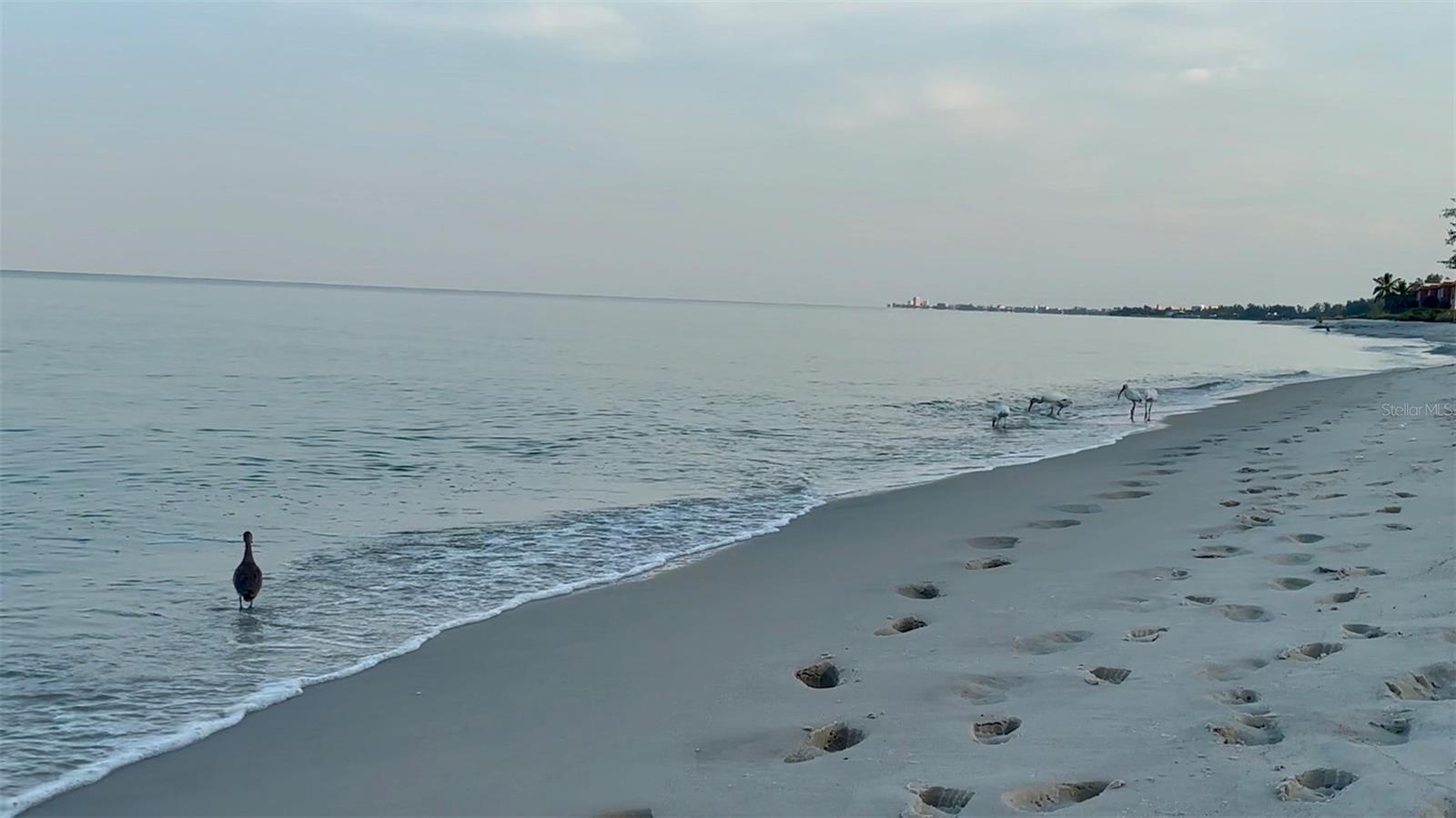 POINTE ON MIDNIGHT PASS - Residential