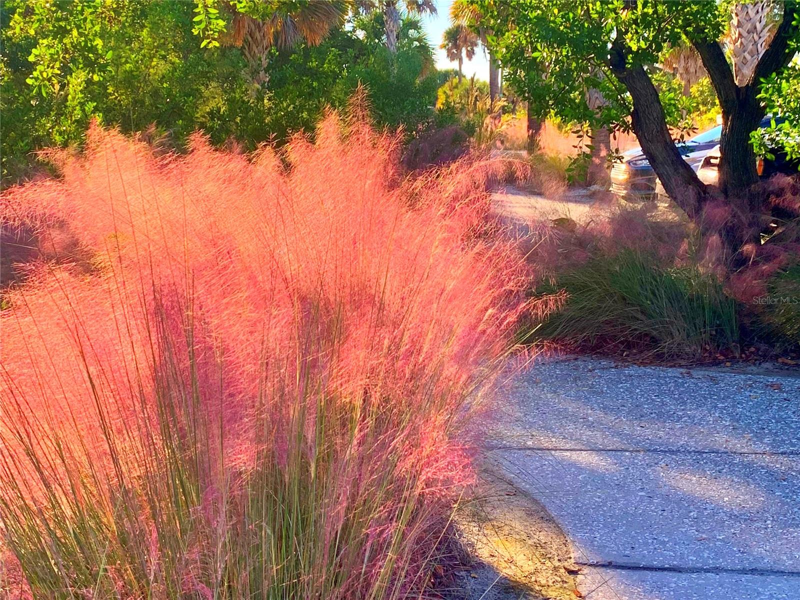 POINTE ON MIDNIGHT PASS - Residential