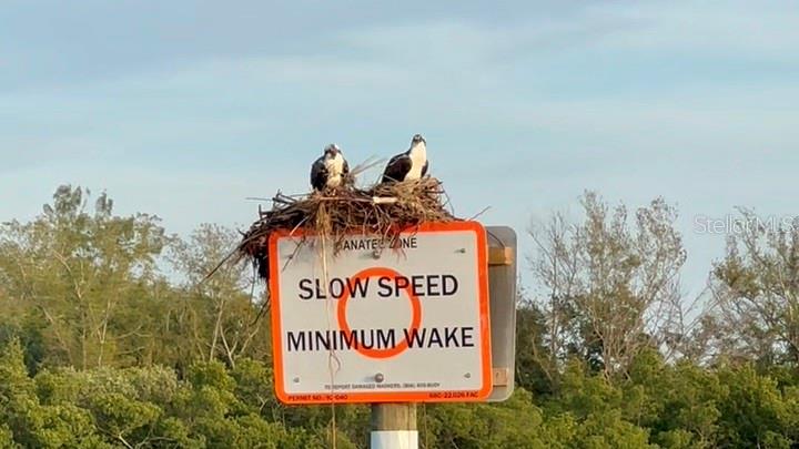 POINTE ON MIDNIGHT PASS - Residential