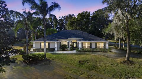 36602 HONEY TREE COURT EUSTIS FL 32736