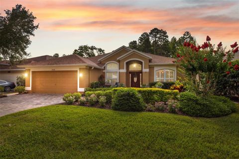 19418 MORDEN BLUSH DRIVE LUTZ FL 33558