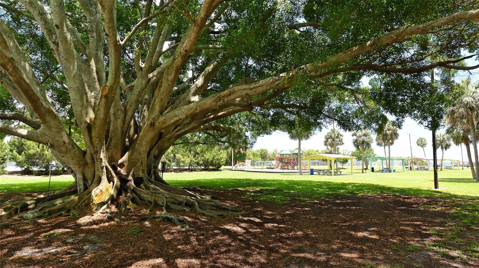 BAYSHORE GARDENS APTS 8 - Residential