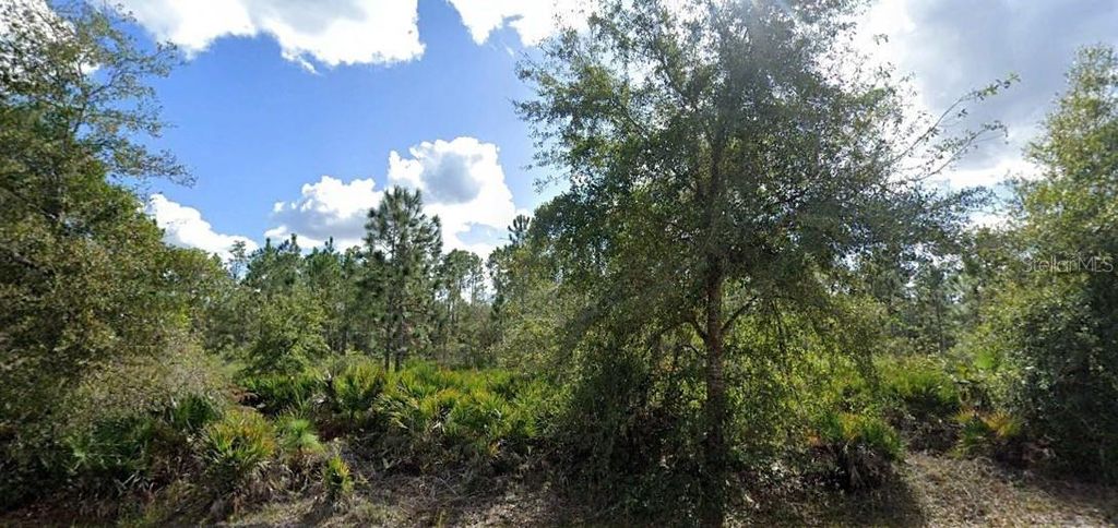 Photo of Alba Drive, Indian Lake Estates, FL 33855 (MLS # O6242163)