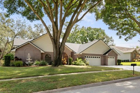 A home in VALRICO