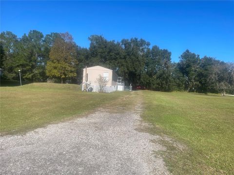 A home in POLK CITY