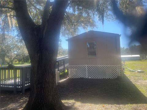 A home in POLK CITY