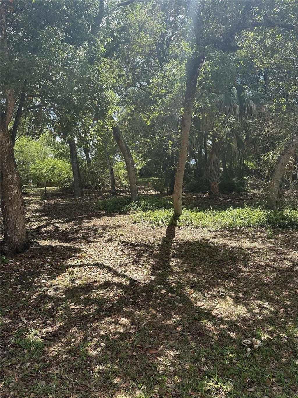 Photo of E Elm Drive, Orange City, FL 32763 (MLS # V4948745)