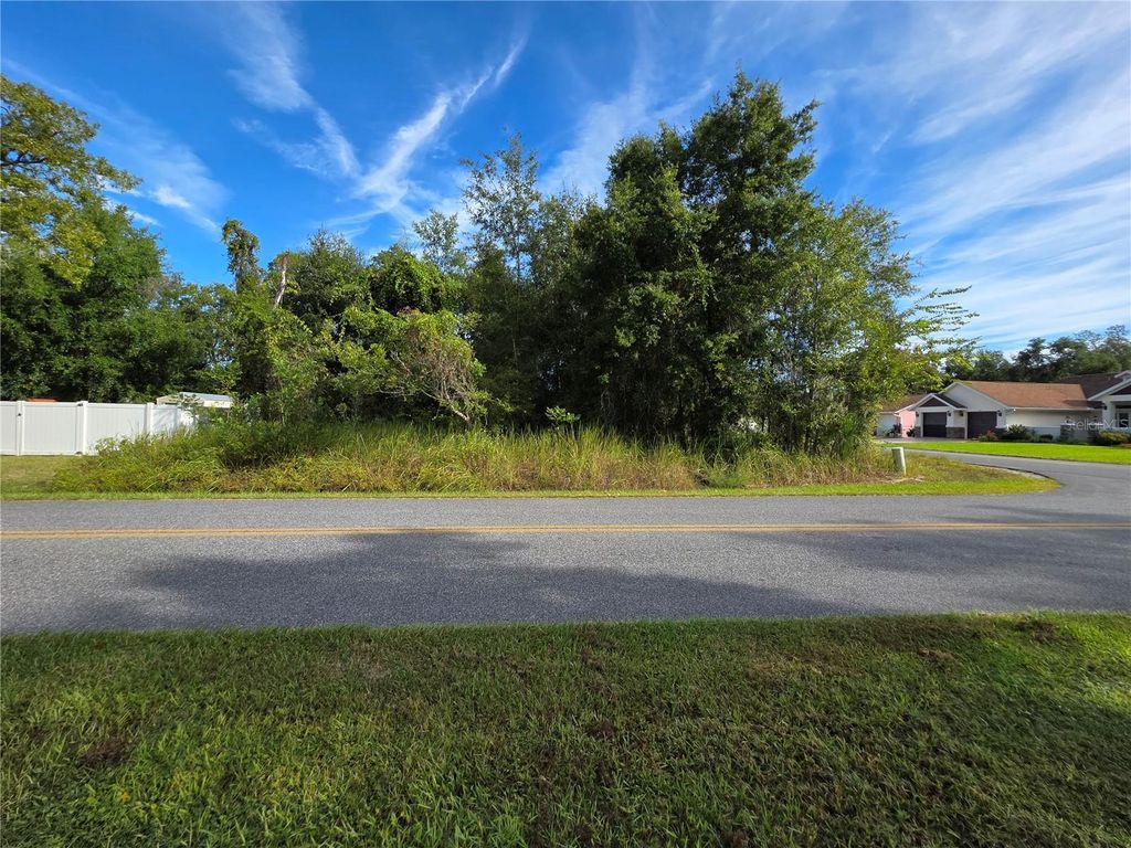 Photo of 8591 SE 164th Place, Summerfield, FL 34491 (MLS # G5102586)
