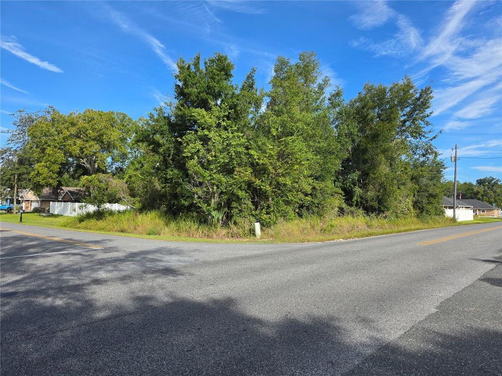 Photo of 8591 SE 164th Place, Summerfield, FL 34491 (MLS # G5102586)
