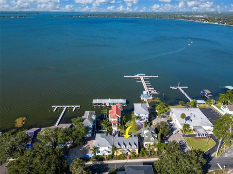 A home in MOUNT DORA