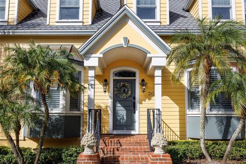 A home in MOUNT DORA