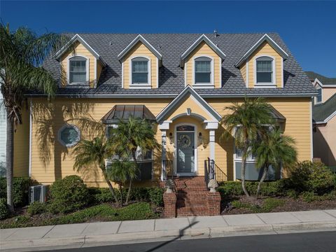 A home in MOUNT DORA