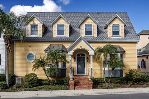 A home in MOUNT DORA