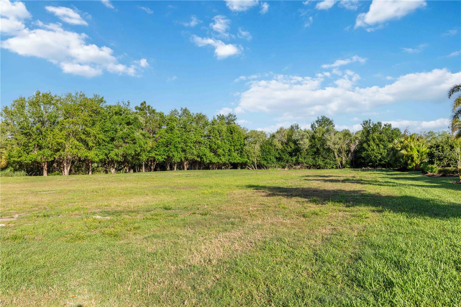 3433 FOUNDERS CLUB DRIVE