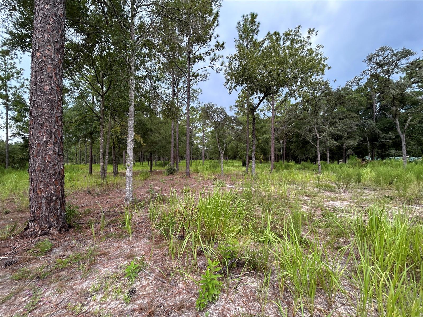 LANCALA FARMS PH 1 UN 3 - Land
