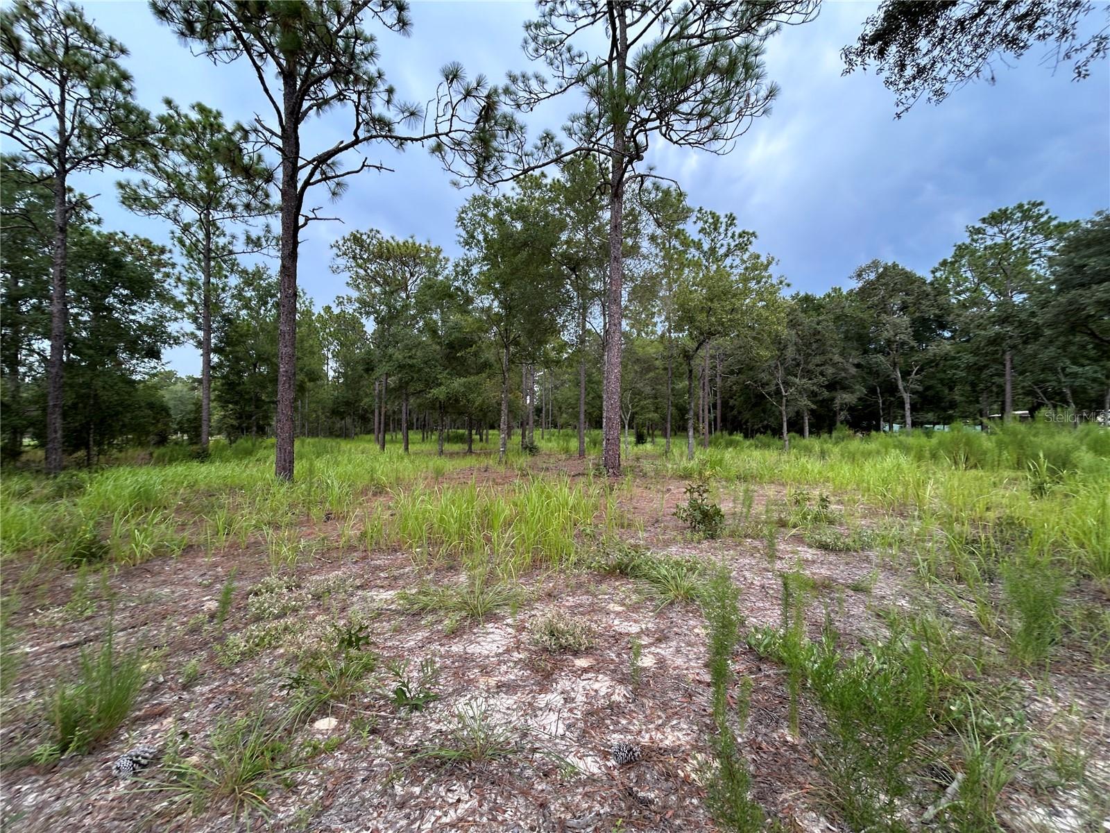 LANCALA FARMS PH 1 UN 3 - Land