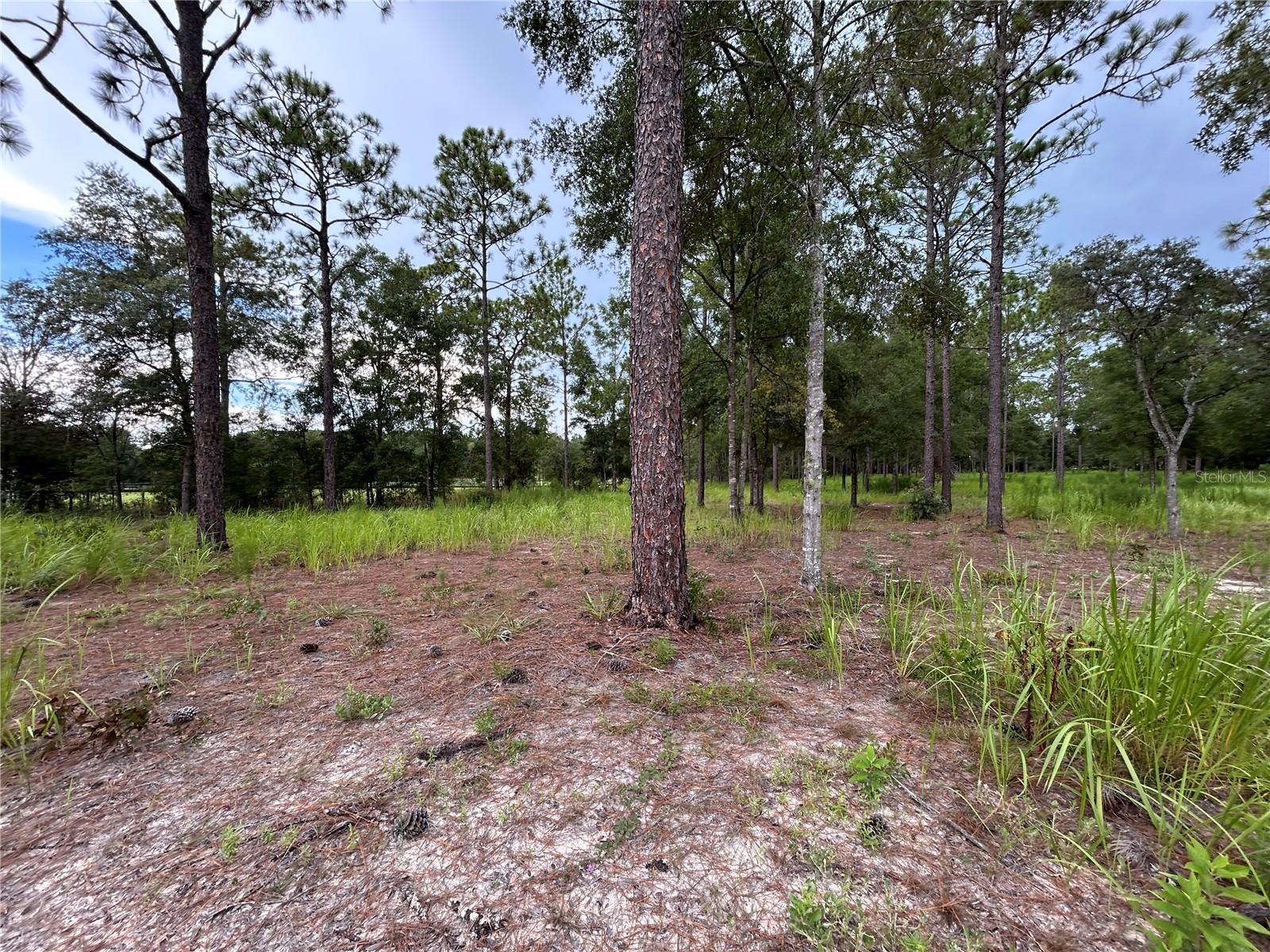 LANCALA FARMS PH 1 UN 3 - Land