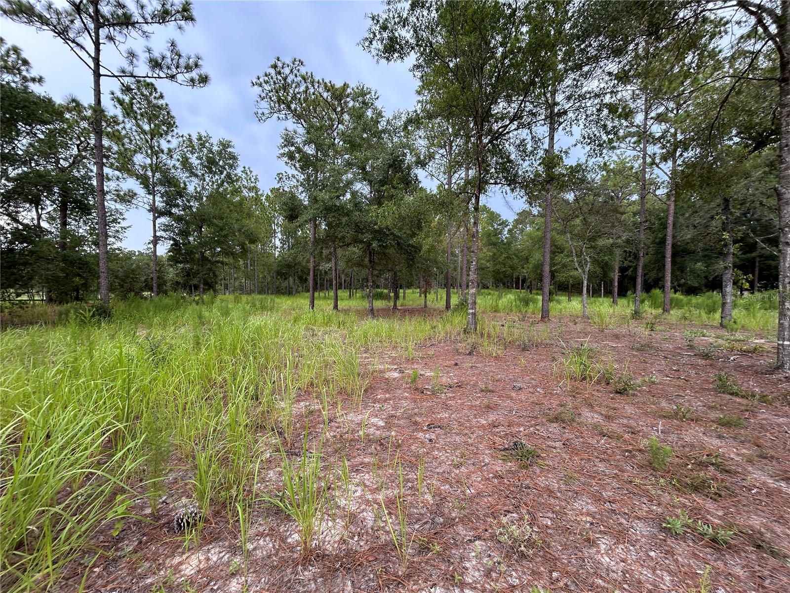 LANCALA FARMS PH 1 UN 3 - Land