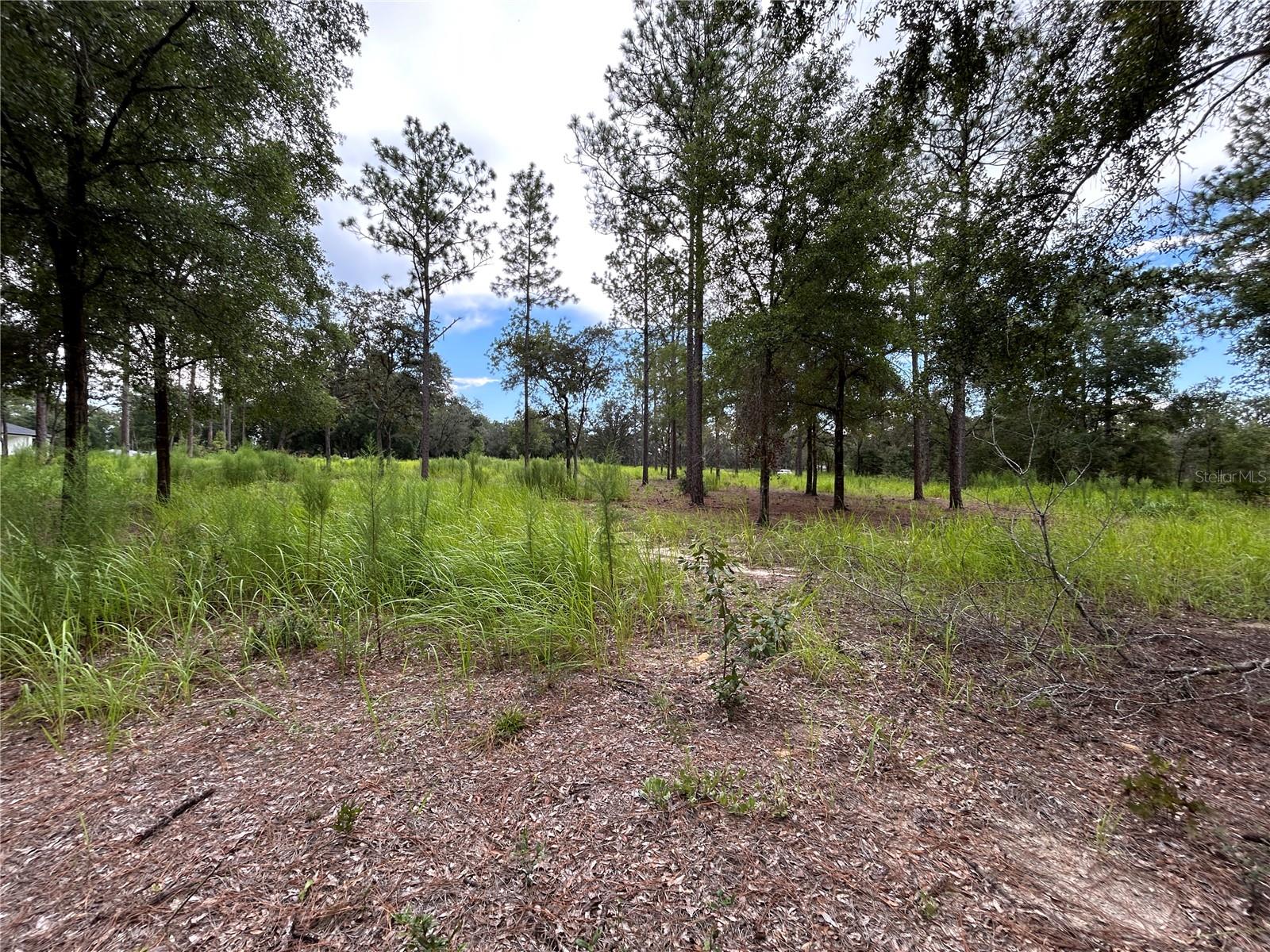 Build your dream retreat on this beautiful 5-acre parcel in Ocala’s renowned horse country. Tucked on a quiet country road, the property offers a nice mix of privacy and usability—great for a custom home, mini-farm, barn, workshop, or pasture. Enjoy country living with city conveniences close by: quick access to SR 40 and I-75, plus shopping, dining, and medical services. The World Equestrian Center, HITS, and miles of riding and hiking trails are just a short drive away. Power is in the area; well and septic are typically needed. No known HOA or CDD and flexible possibilities for your site plan. Buy and build now or hold as a smart land investment in one of Florida’s most sought-after markets. Buyer to verify zoning, utilities, and buildability.