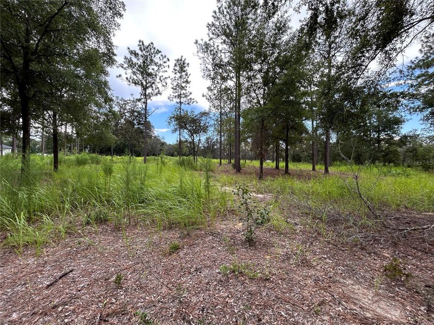 Build your dream retreat on this beautiful 5-acre parcel in Ocala’s renowned horse country. Tucked on a quiet country road, the property offers a nice mix of privacy and usability—great for a custom home, mini-farm, barn, workshop, or pasture. Enjoy country living with city conveniences close by: quick access to SR 40 and I-75, plus shopping, dining, and medical services. The World Equestrian Center, HITS, and miles of riding and hiking trails are just a short drive away. Power is in the area; well and septic are typically needed. No known HOA or CDD and flexible possibilities for your site plan. Buy and build now or hold as a smart land investment in one of Florida’s most sought-after markets. Buyer to verify zoning, utilities, and buildability.