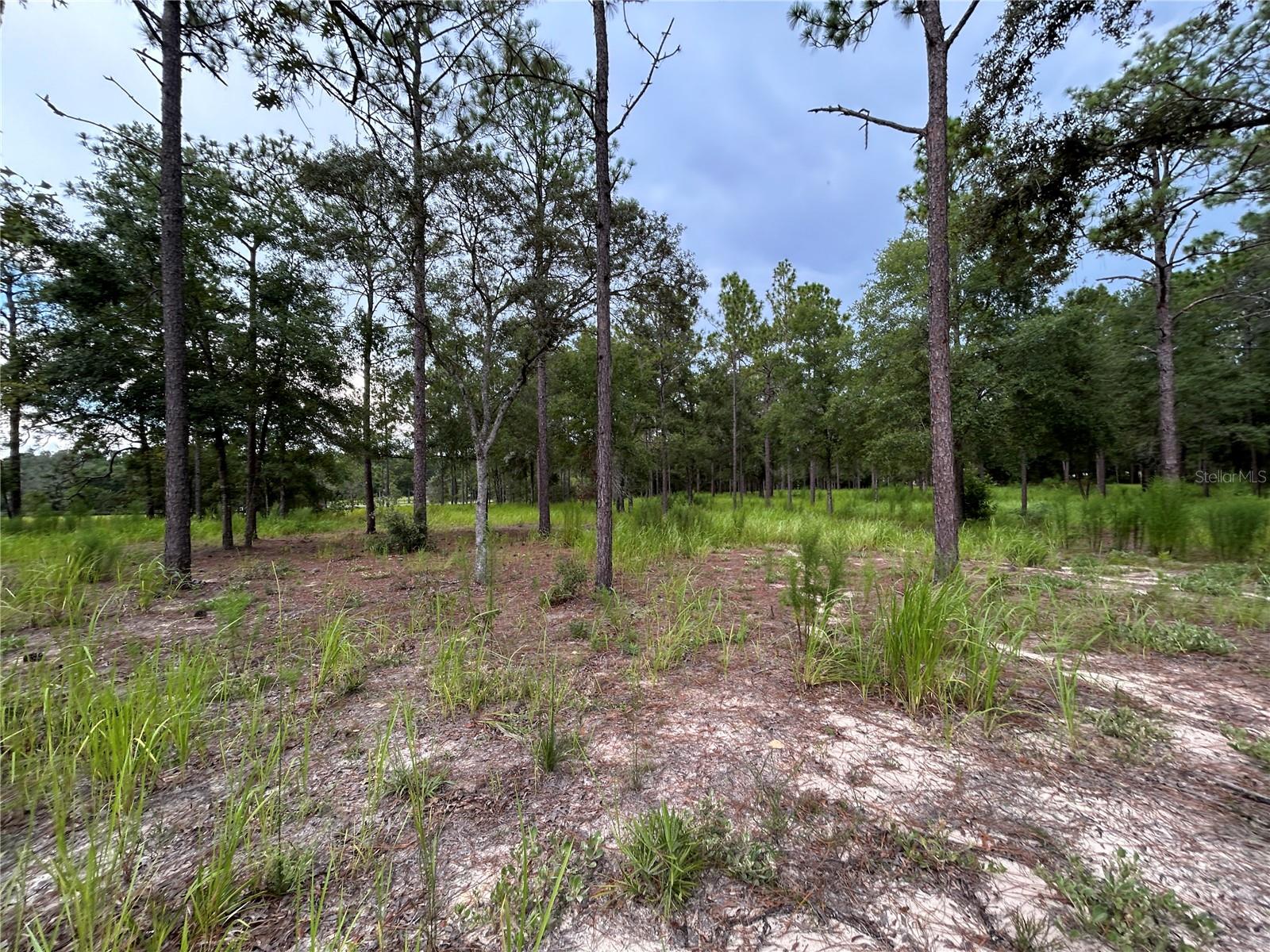 LANCALA FARMS PH 1 UN 3 - Land
