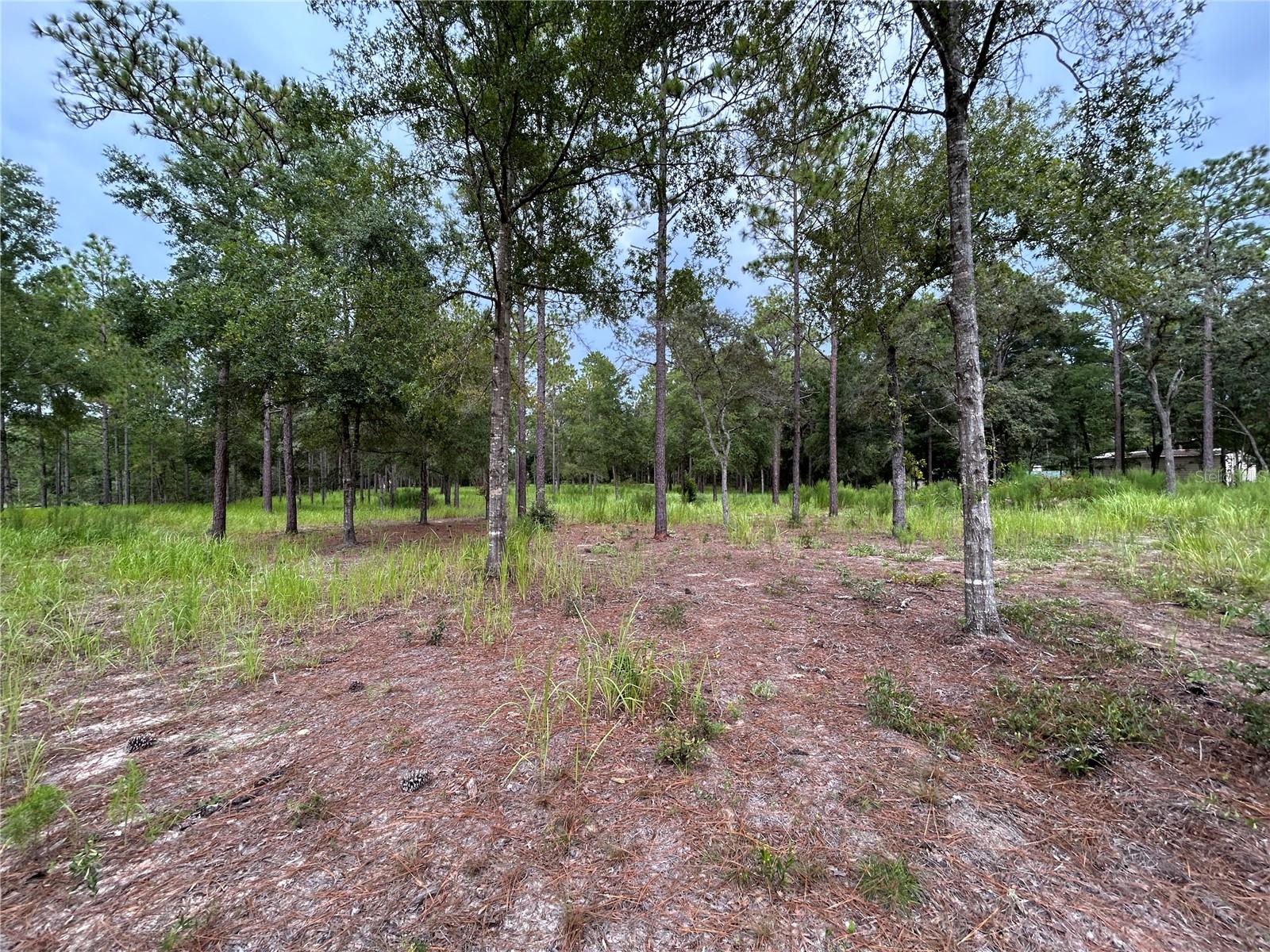 LANCALA FARMS PH 1 UN 3 - Land