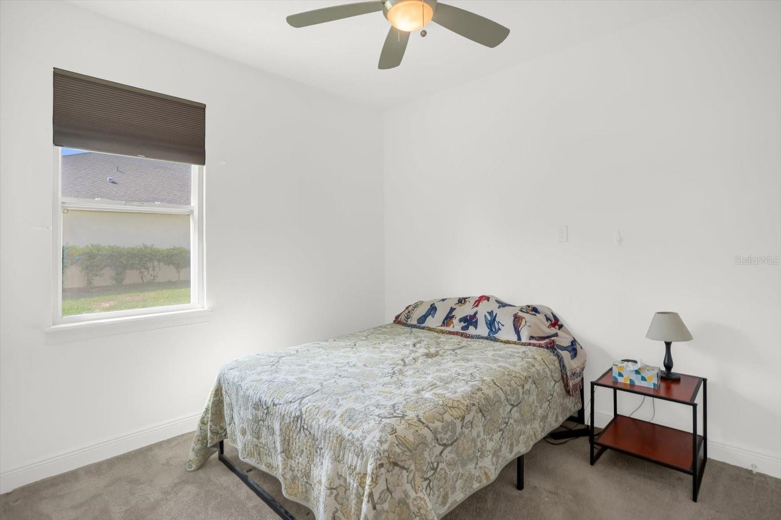 HOWEY PALM GARDENS - Residential