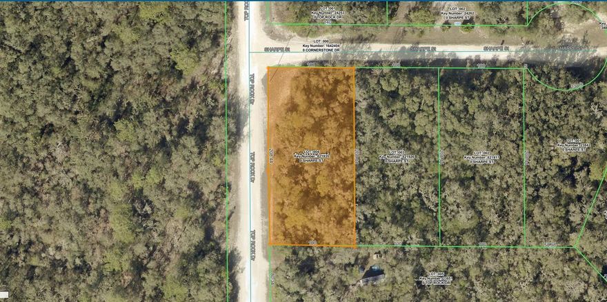 Excellent opportunity to build on this .48-acre corner lot in Ridge Manor. This high and dry parcel has electric available, with no wetlands and no flood zone, and NO HOA, making it a clean and practical option for your future homesite. The corner lot layout offers added flexibility for placement and design. Located in Ridge Manor, you get the quiet feel of country living while still having convenient access to major roadways, including I-75. Within close proximity to the Withlacoochee State Trail while still being a short drive from the shops, dining, and services of Brooksville and Dade City. Enjoy space, privacy, and a peaceful setting while building exactly what you want.
