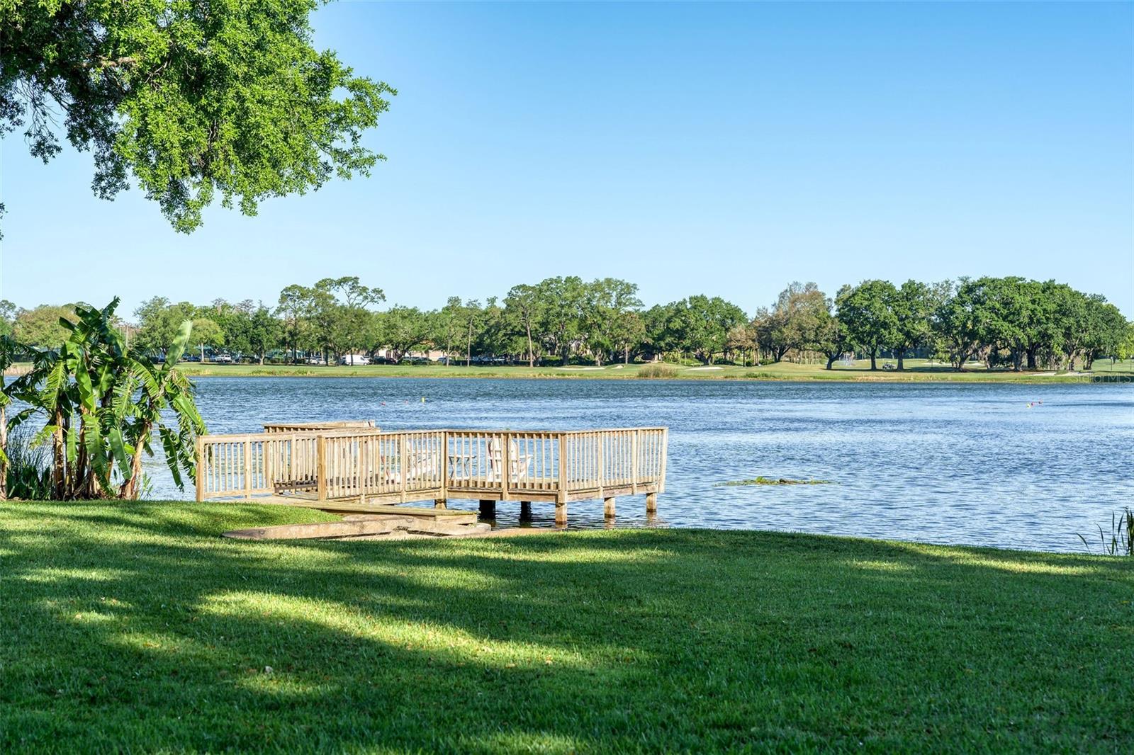 SPRING LAKE TERRACE - Residential