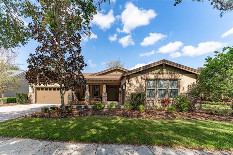 15944 TERNGLADE DRIVE LITHIA FL 33547