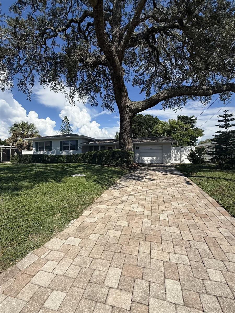 331 SHIRLEY AVENUE