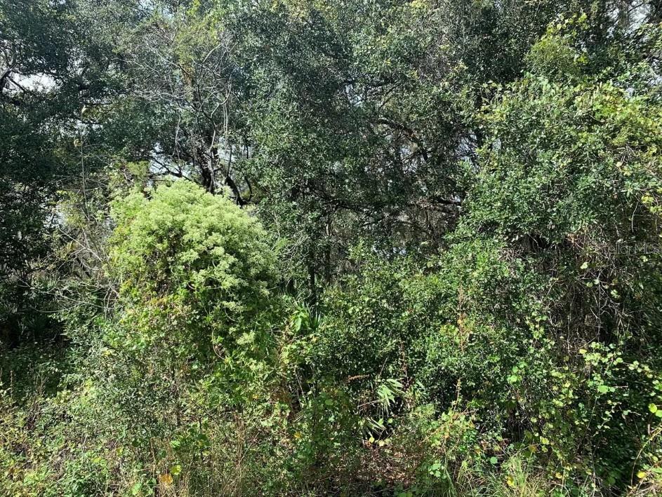 PORT CHARLOTTE SEC 057 - Land