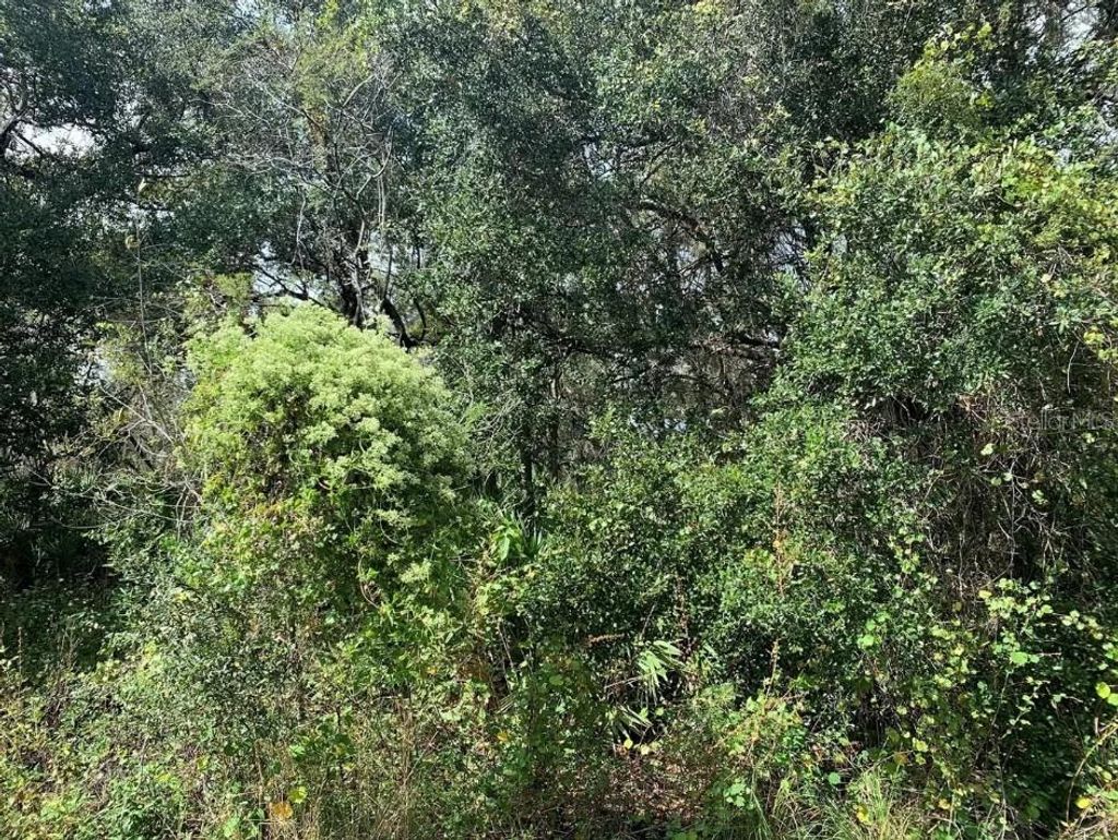 Photo of 2159 Eastwind Terrace, Port Charlotte, FL 33953 (MLS # TB8452650)