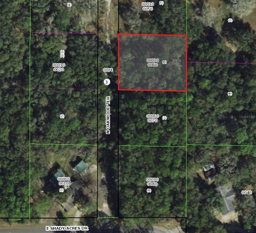 Photo of 189 N Oakwood Terrace, Inverness, FL 34453 (MLS # OM731435)