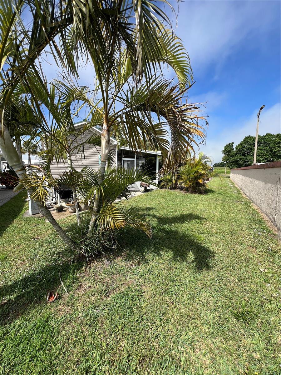 ANCIENT OAKS R V RESIDENCE V - Residential