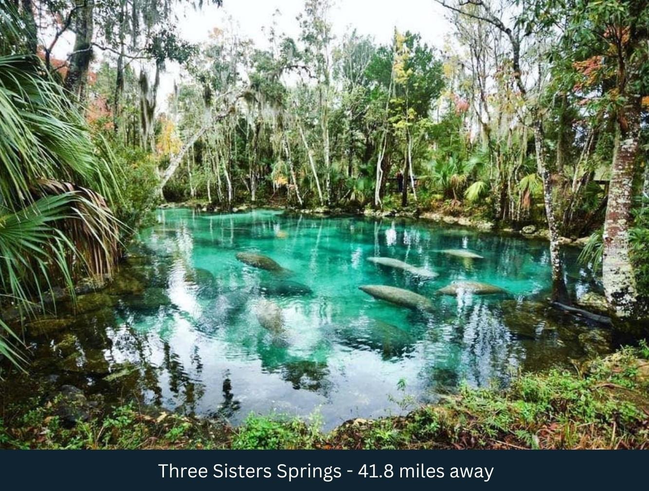 BELLEVIEW HILLS ESTATE - Land